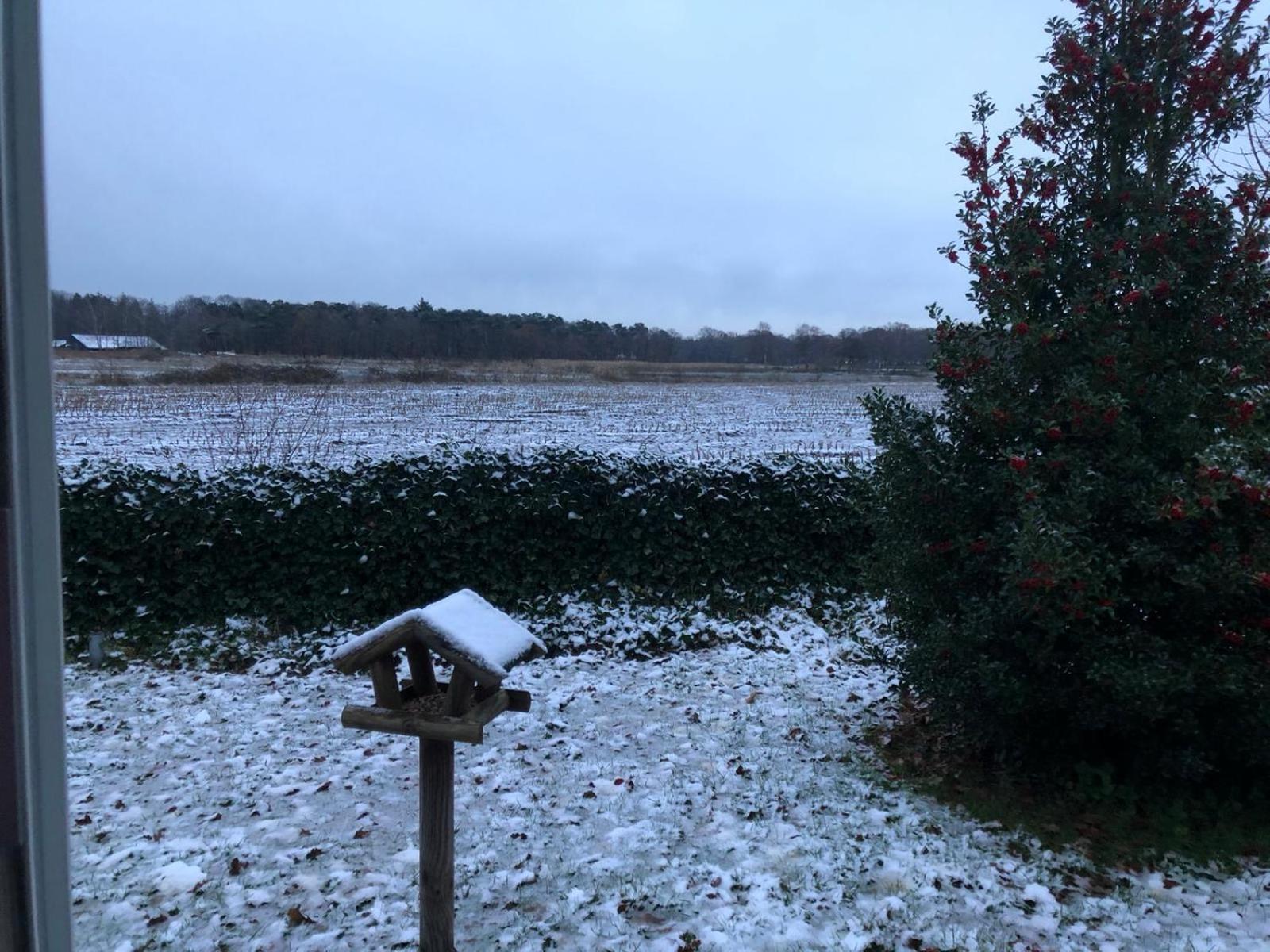 Vakantiehuis Appelvink, Toplocatie in bosrijke omgeving Oisterwijk Buitenkant foto